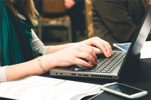 Essay Writer